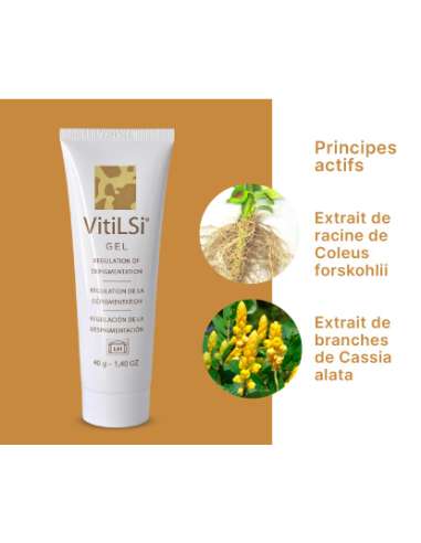 Gel VITILSI