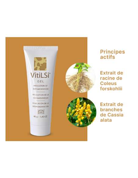 Gel VITILSI
